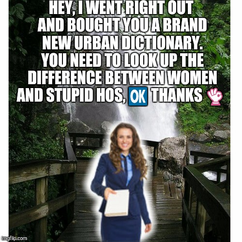 HEY, I WENT RIGHT OUT AND BOUGHT YOU A BRAND NEW URBAN DICTIONARY. YOU NEED TO LOOK UP THE DIFFERENCE BETWEEN WOMEN AND STUPID HOS,  | made w/ Imgflip meme maker
