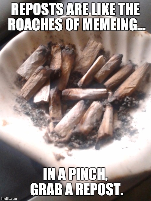 Smoke a repost | REPOSTS ARE LIKE THE ROACHES OF MEMEING... IN A PINCH, GRAB A REPOST. | image tagged in memes,funny,reposts,roach | made w/ Imgflip meme maker