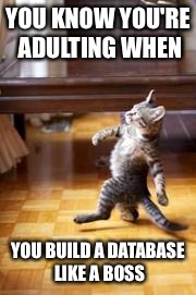 Like a Boss Kitty  | YOU KNOW YOU'RE ADULTING WHEN; YOU BUILD A DATABASE LIKE A BOSS | image tagged in like a boss kitty | made w/ Imgflip meme maker