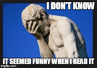 I DON'T KNOW IT SEEMED FUNNY WHEN I READ IT | made w/ Imgflip meme maker