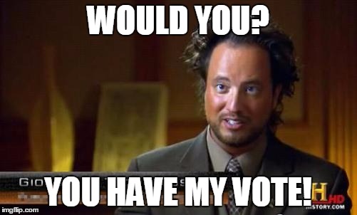 WOULD YOU? YOU HAVE MY VOTE! | made w/ Imgflip meme maker