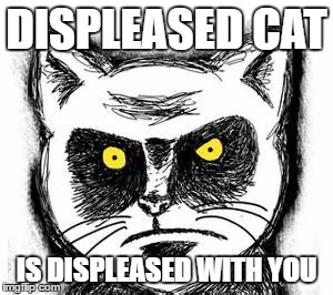 Displeased cat | DISPLEASED CAT; IS DISPLEASED WITH YOU | image tagged in cat,displeased cat | made w/ Imgflip meme maker
