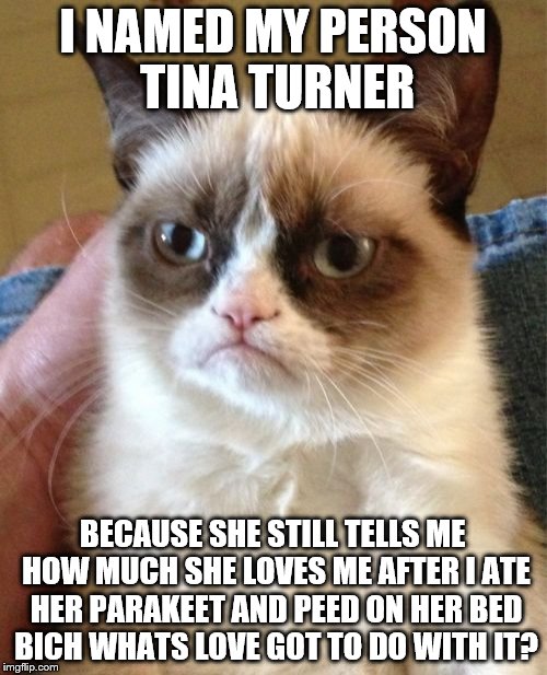 Grumpy Cat Meme | I NAMED MY PERSON TINA TURNER BECAUSE SHE STILL TELLS ME HOW MUCH SHE LOVES ME AFTER I ATE HER PARAKEET AND PEED ON HER BED BICH WHATS LOVE  | image tagged in memes,grumpy cat | made w/ Imgflip meme maker