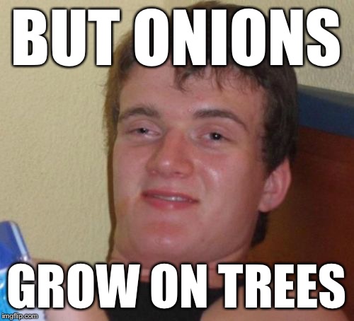 10 Guy Meme | BUT ONIONS GROW ON TREES | image tagged in memes,10 guy | made w/ Imgflip meme maker