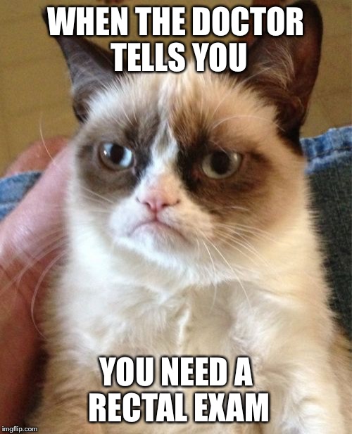 Grumpy Cat Meme Imgflip