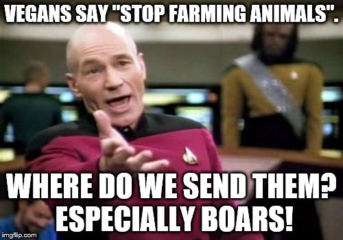 Picard Wtf | VEGANS SAY "STOP FARMING ANIMALS". WHERE DO WE SEND THEM? ESPECIALLY BOARS! | image tagged in memes,picard wtf | made w/ Imgflip meme maker