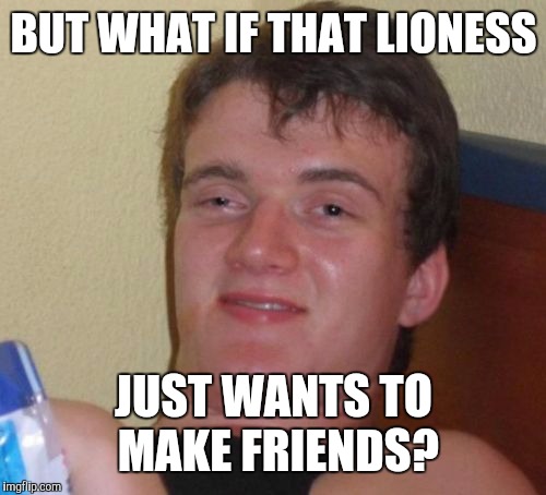 10 Guy Meme | BUT WHAT IF THAT LIONESS JUST WANTS TO MAKE FRIENDS? | image tagged in memes,10 guy | made w/ Imgflip meme maker