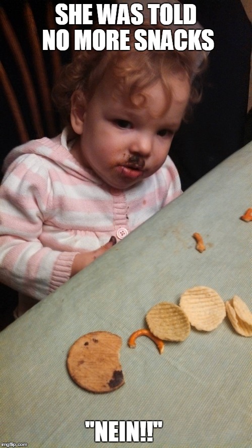 SHE WAS TOLD NO MORE SNACKS; "NEIN!!" | image tagged in hitler baby | made w/ Imgflip meme maker