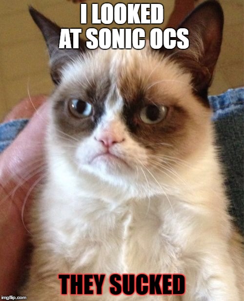 Grumpy Cat | I LOOKED AT SONIC OCS; THEY SUCKED | image tagged in memes,grumpy cat | made w/ Imgflip meme maker