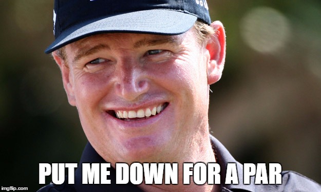 PUT ME DOWN FOR A PAR | image tagged in golf | made w/ Imgflip meme maker