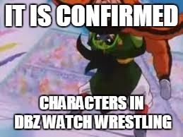 Some aren't even main characters! | IT IS CONFIRMED; CHARACTERS IN DBZ WATCH WRESTLING | image tagged in dbzsuplexcity | made w/ Imgflip meme maker