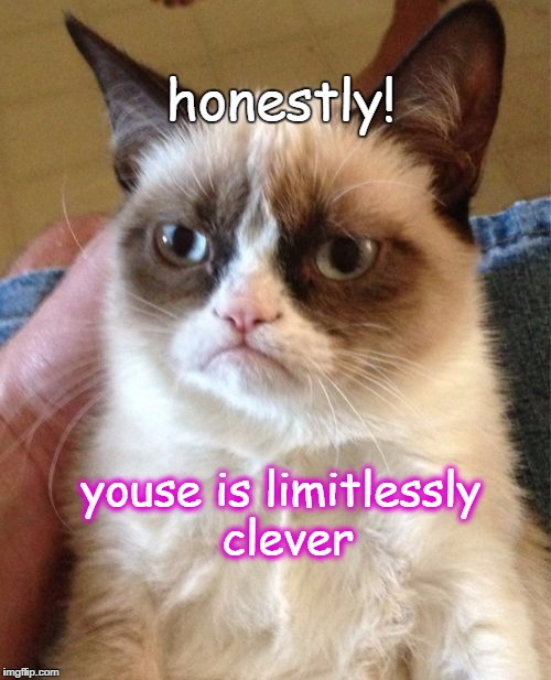 Grumpy Cat Meme | honestly! youse is limitlessly clever | image tagged in memes,grumpy cat | made w/ Imgflip meme maker