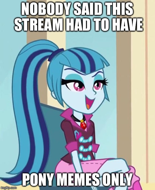 Sonata Dusk | NOBODY SAID THIS STREAM HAD TO HAVE; PONY MEMES ONLY | image tagged in sonata dusk | made w/ Imgflip meme maker