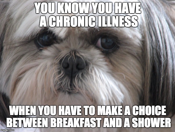 Dysautonomia Dog | YOU KNOW YOU HAVE A CHRONIC ILLNESS; WHEN YOU HAVE TO MAKE A CHOICE BETWEEN BREAKFAST AND A SHOWER | image tagged in dysautonomia dog | made w/ Imgflip meme maker