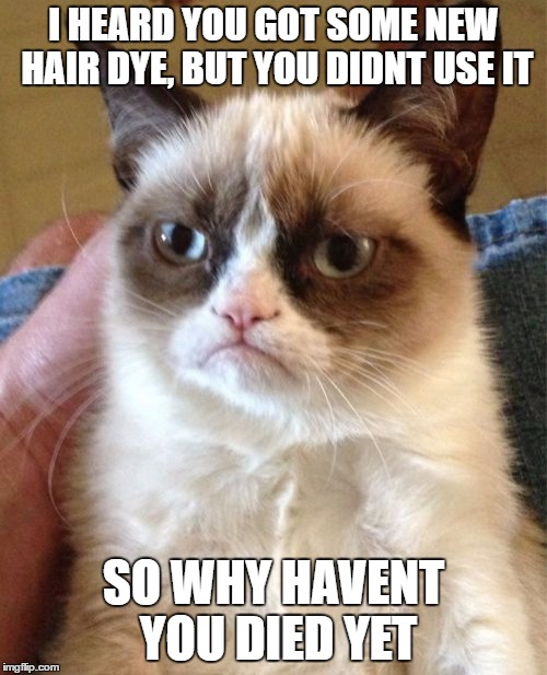 Grumpy Cat Meme | I HEARD YOU GOT SOME NEW HAIR DYE, BUT YOU DIDNT USE IT; SO WHY HAVENT YOU DIED YET | image tagged in memes,grumpy cat | made w/ Imgflip meme maker