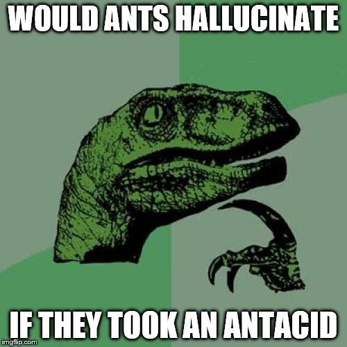 Philosoraptor | WOULD ANTS HALLUCINATE; IF THEY TOOK AN ANTACID | image tagged in memes,philosoraptor | made w/ Imgflip meme maker