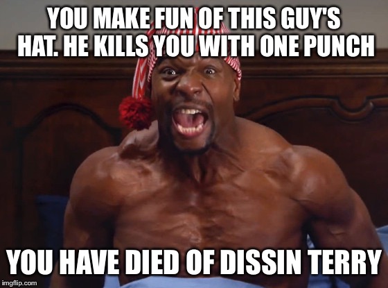 YOU MAKE FUN OF THIS GUY'S HAT. HE KILLS YOU WITH ONE PUNCH; YOU HAVE DIED OF DISSIN TERRY | image tagged in dissin terry | made w/ Imgflip meme maker