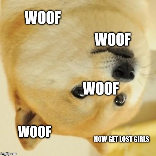 Doge | WOOF; WOOF; WOOF; WOOF; NOW GET LOST GIRLS | image tagged in memes,doge | made w/ Imgflip meme maker