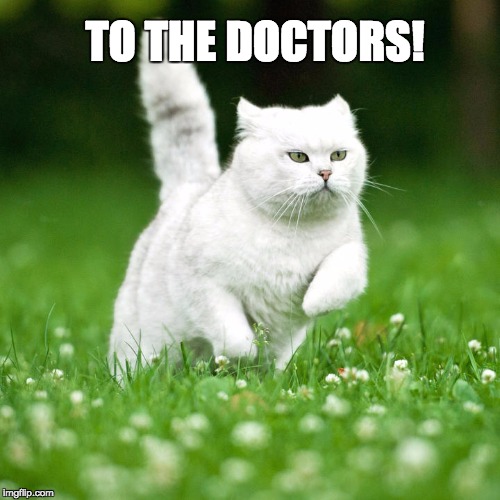 TO THE DOCTORS! | made w/ Imgflip meme maker