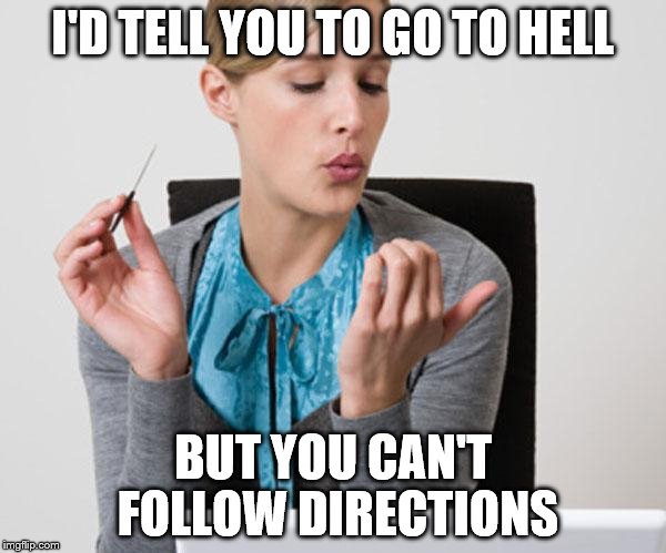 Go to hell | I'D TELL YOU TO GO TO HELL; BUT YOU CAN'T FOLLOW DIRECTIONS | image tagged in woman filing nails | made w/ Imgflip meme maker