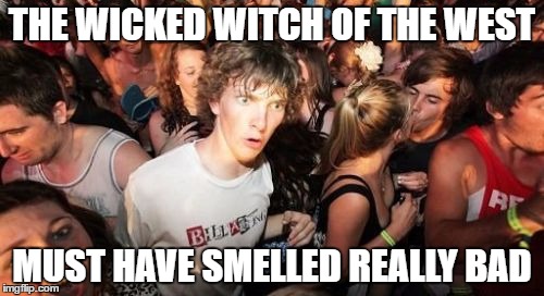 No water plus Flying Monkey poo? | THE WICKED WITCH OF THE WEST; MUST HAVE SMELLED REALLY BAD | image tagged in memes,sudden clarity clarence,wicked witch,wizard of oz,flying monkeys | made w/ Imgflip meme maker