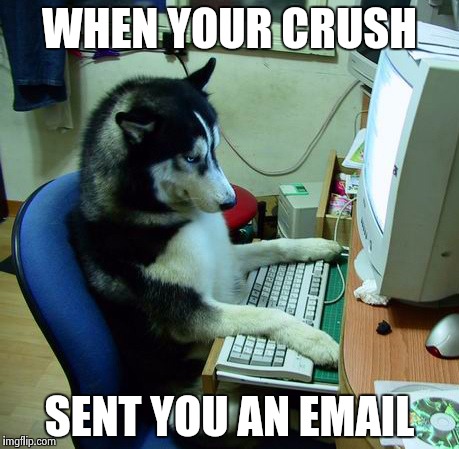 I Have No Idea What I Am Doing | WHEN YOUR CRUSH; SENT YOU AN EMAIL | image tagged in memes,i have no idea what i am doing | made w/ Imgflip meme maker