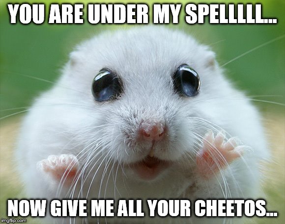 Suggestion | YOU ARE UNDER MY SPELLLLL... NOW GIVE ME ALL YOUR CHEETOS... | image tagged in hypnotism,cheetos,cute,whiskers | made w/ Imgflip meme maker