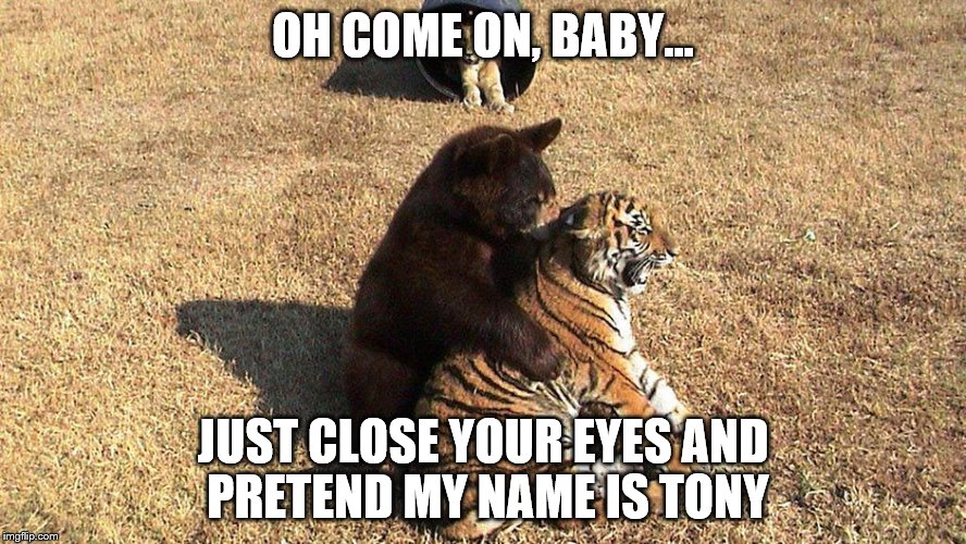 It's gonna be GREEEAAATTTT!!! | OH COME ON, BABY... JUST CLOSE YOUR EYES AND PRETEND MY NAME IS TONY | image tagged in tony the tiger,interspecies,dat ass,this is my jam | made w/ Imgflip meme maker
