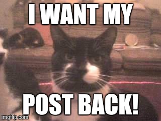 I WANT MY; POST BACK! | image tagged in mypost | made w/ Imgflip meme maker