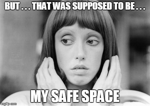 BUT . . . THAT WAS SUPPOSED TO BE . . . MY SAFE SPACE | made w/ Imgflip meme maker