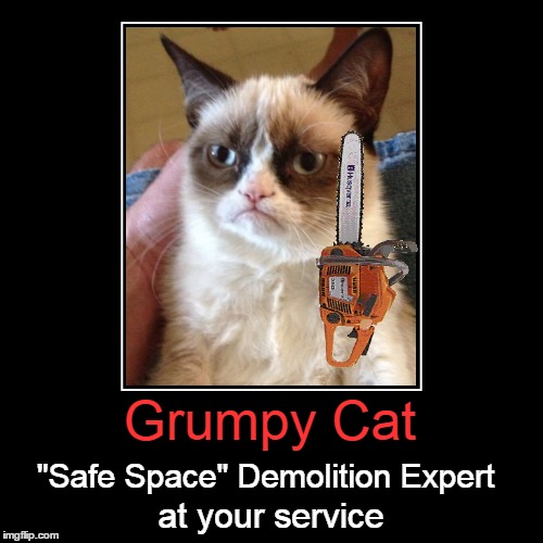 Grumpy Cat at your service "Safe Space" Demolition Expert | made w/ Imgflip meme maker
