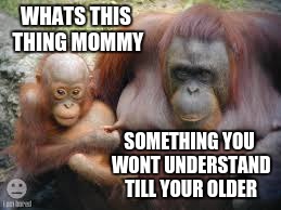 WHATS THIS THING MOMMY; SOMETHING YOU WONT UNDERSTAND TILL YOUR OLDER | image tagged in monkey business,memes | made w/ Imgflip meme maker