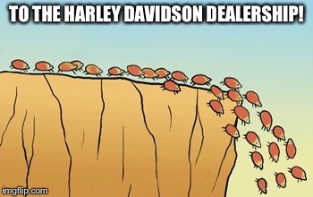 TO THE HARLEY DAVIDSON DEALERSHIP! | image tagged in harley davidson,lemmings,memes | made w/ Imgflip meme maker