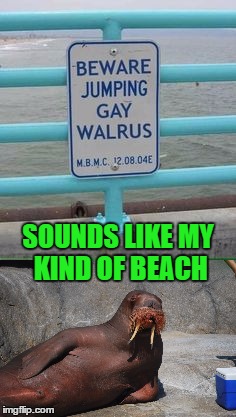 Koo koo  Kachoo  | SOUNDS LIKE MY KIND OF BEACH | image tagged in i am the walrus,memes,lol | made w/ Imgflip meme maker