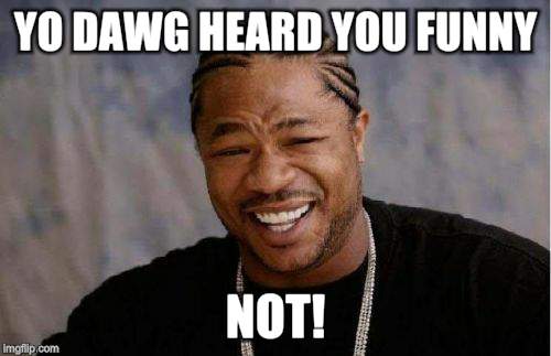 Yo Dawg Heard You Meme | YO DAWG HEARD YOU FUNNY NOT! | image tagged in memes,yo dawg heard you | made w/ Imgflip meme maker