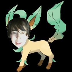 leafeon ( ͡° ͜ʖ ͡°) | image tagged in youtube,cancer,pokemon,anime | made w/ Imgflip meme maker