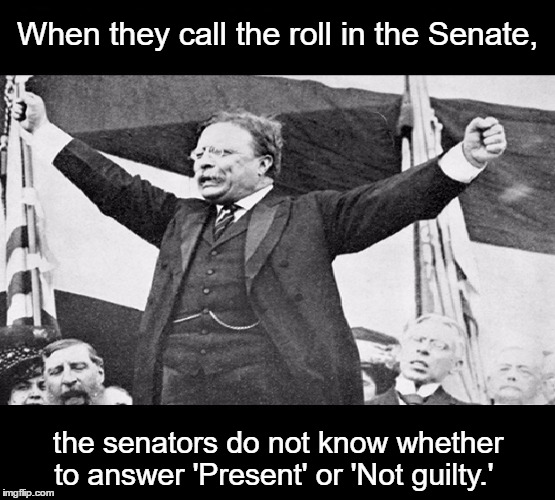 Theodore Roosevelt | When they call the roll in the Senate, the senators do not know whether to answer 'Present' or 'Not guilty.' | image tagged in memes,funny | made w/ Imgflip meme maker