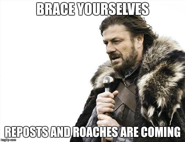 Brace Yourselves X is Coming Meme | BRACE YOURSELVES REPOSTS AND ROACHES ARE COMING | image tagged in memes,brace yourselves x is coming | made w/ Imgflip meme maker