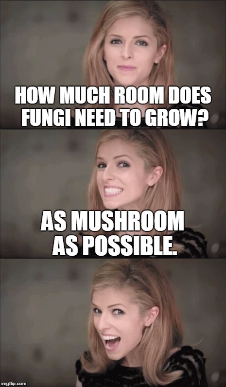 A "sporeatic" question. | HOW MUCH ROOM DOES FUNGI NEED TO GROW? AS MUSHROOM AS POSSIBLE. | image tagged in memes,bad pun anna kendrick,funny,funny memes,puns | made w/ Imgflip meme maker