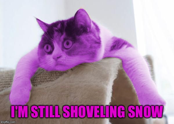 RayCat Stare | I'M STILL SHOVELING SNOW | image tagged in raycat stare | made w/ Imgflip meme maker