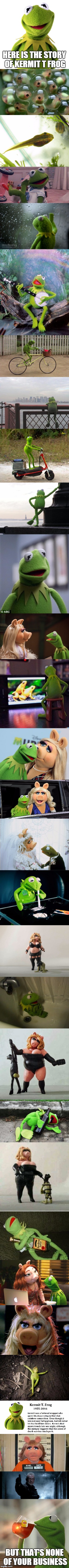 The Rise and Fall of Kermit | HERE IS THE STORY OF KERMIT T FROG; BUT THAT'S NONE OF YOUR BUSINESS | image tagged in meme,kermit the frog,but thats none of my business | made w/ Imgflip meme maker