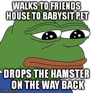 HOW COULD THIS HAPPEN TO MEEEEEEEEEEEEEE | WALKS TO FRIENDS HOUSE TO BABYSIT PET; DROPS THE HAMSTER ON THE WAY BACK | image tagged in pepe the frog | made w/ Imgflip meme maker