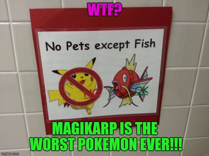Pokemon sign fail... | WTF? MAGIKARP IS THE WORST POKEMON EVER!!! | image tagged in pokemon,memes | made w/ Imgflip meme maker