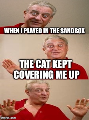 WHEN I PLAYED IN THE SANDBOX THE CAT KEPT COVERING ME UP | made w/ Imgflip meme maker
