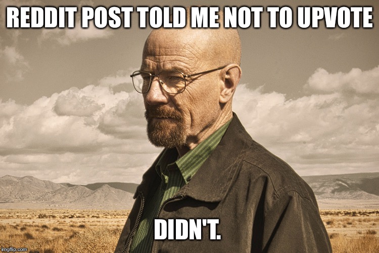 REDDIT POST TOLD ME NOT TO UPVOTE; DIDN'T. | image tagged in defiant walter | made w/ Imgflip meme maker