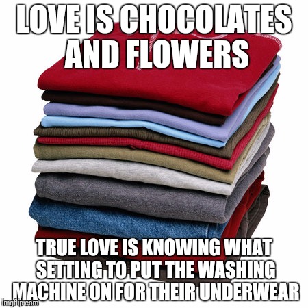 LOVE IS CHOCOLATES AND FLOWERS; TRUE LOVE IS KNOWING WHAT SETTING TO PUT THE WASHING MACHINE ON FOR THEIR UNDERWEAR | image tagged in true love | made w/ Imgflip meme maker