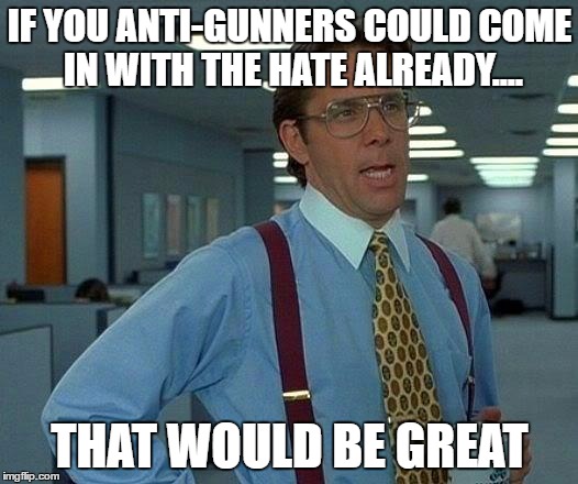 That Would Be Great Meme | IF YOU ANTI-GUNNERS COULD COME IN WITH THE HATE ALREADY.... THAT WOULD BE GREAT | image tagged in memes,that would be great | made w/ Imgflip meme maker