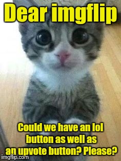 Then we wouldn't have to put it in the comments | Dear imgflip; Could we have an lol button as well as an upvote button? Please? | image tagged in kitten big eyes,lol | made w/ Imgflip meme maker