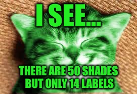 happy RayCat | I SEE... THERE ARE 50 SHADES BUT ONLY 14 LABELS | image tagged in happy raycat | made w/ Imgflip meme maker