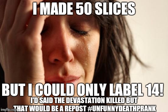 First World Problems Meme | I MADE 50 SLICES I'D SAID THE DEVASTATION KILLED BUT THAT WOULD BE A REPOST #UNFUNNYDEATHPRANK BUT I COULD ONLY LABEL 14! | image tagged in memes,first world problems | made w/ Imgflip meme maker
